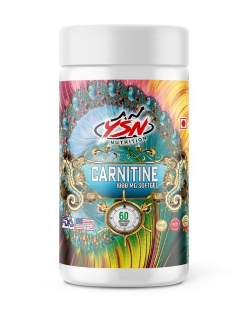 YSN Nutrition Carnitine 60 Softgel